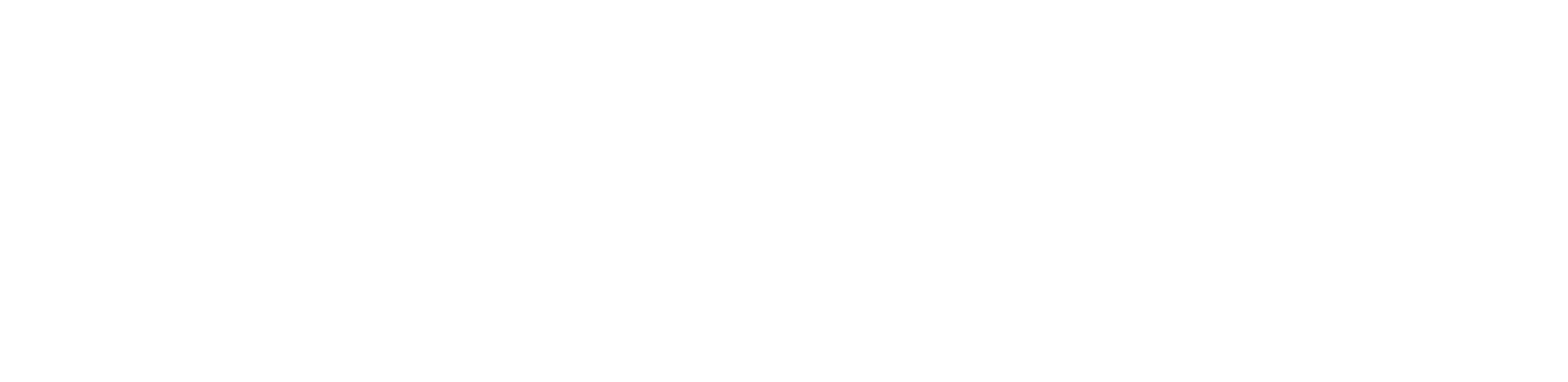 Formula E