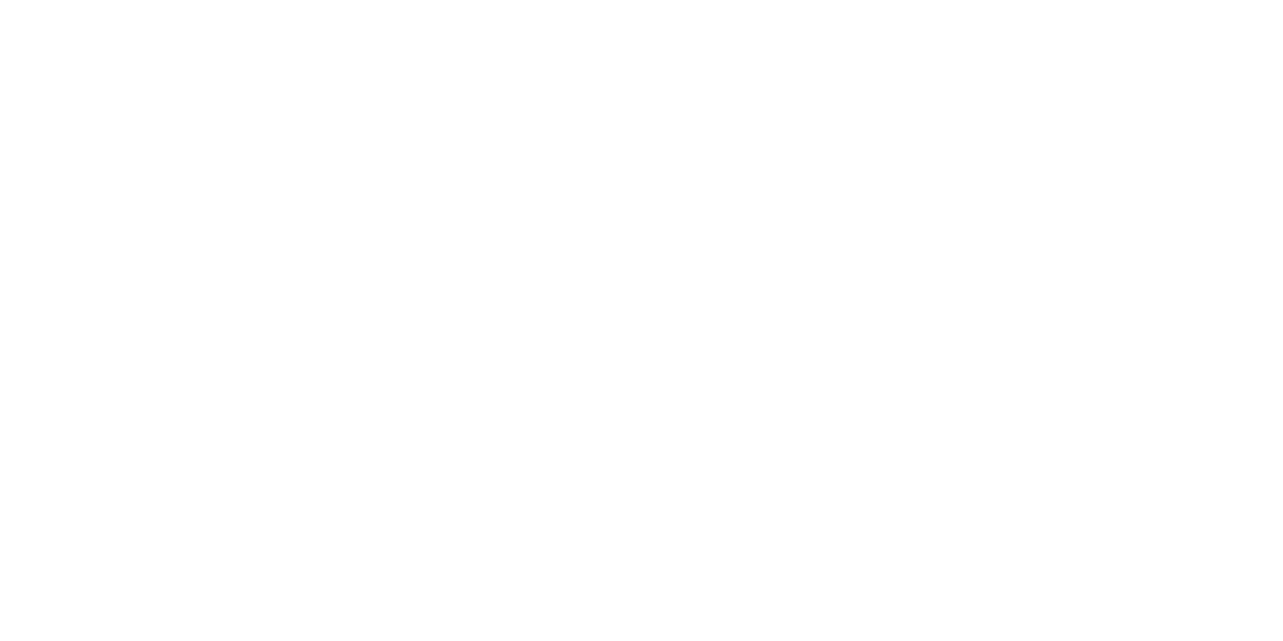 Ford Racing